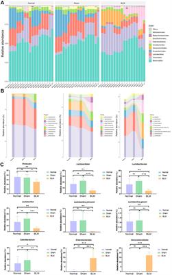 The gut-lung axis: Gut microbiota changes associated with pulmonary fibrosis in mouse models induced by bleomycin